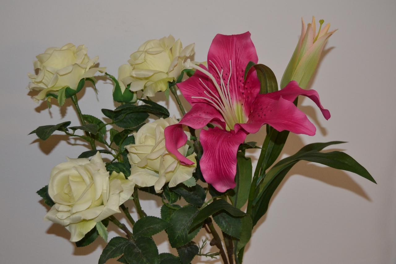 Central Avenue B&B Болоня Екстериор снимка